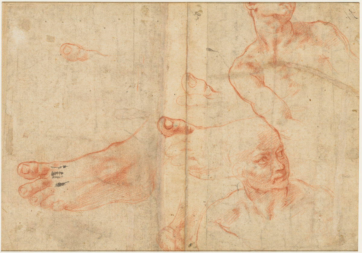 Figure Studies for the Sistine Ceiling (verso) by Michelangelo Buonarroti