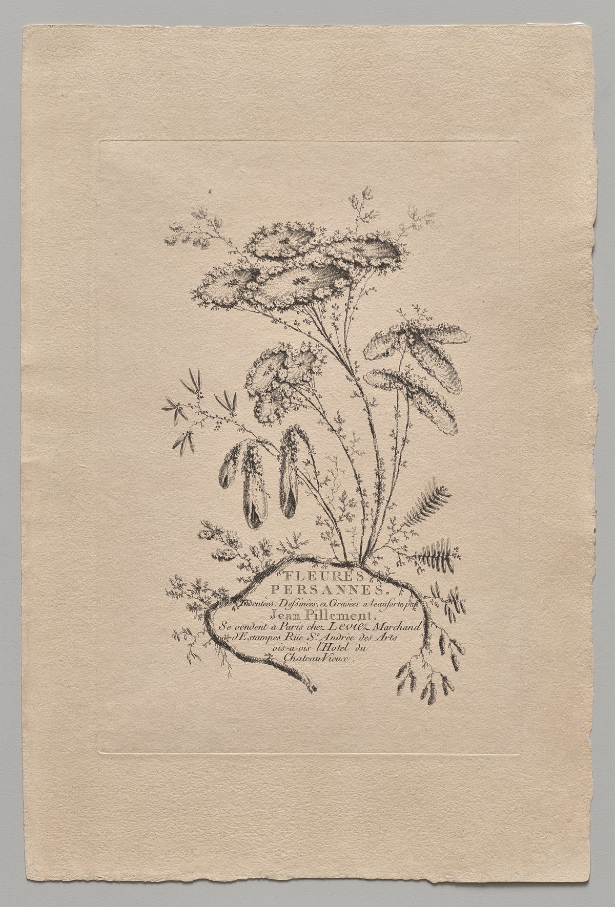 Persian Flowers (2022.250.1) by Jean Baptiste Pillement