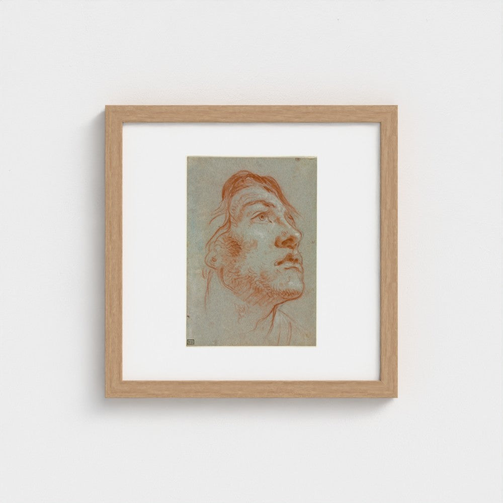 The Head of a Young Man Looking Upwards to the Right — Giovanni Battista Tiepolo