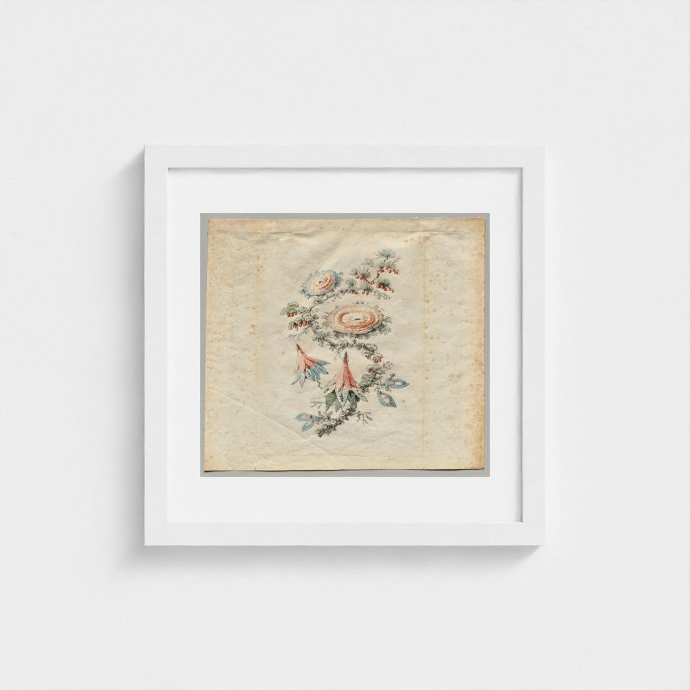 Flower Embroidery Design for Silk Manufactory of Lyon by Jean Baptiste Pillement, white frame