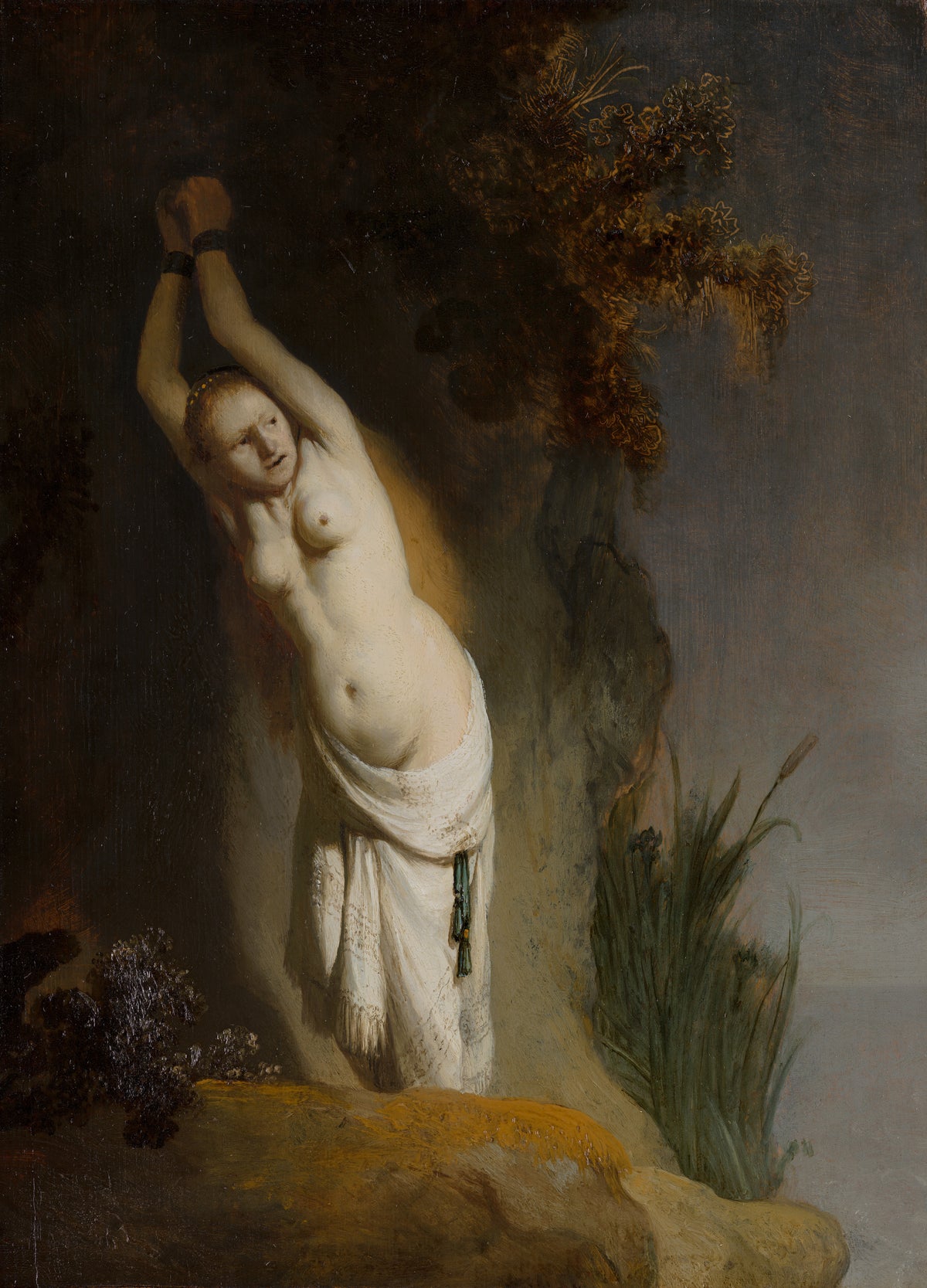Rembrandt, Andromeda