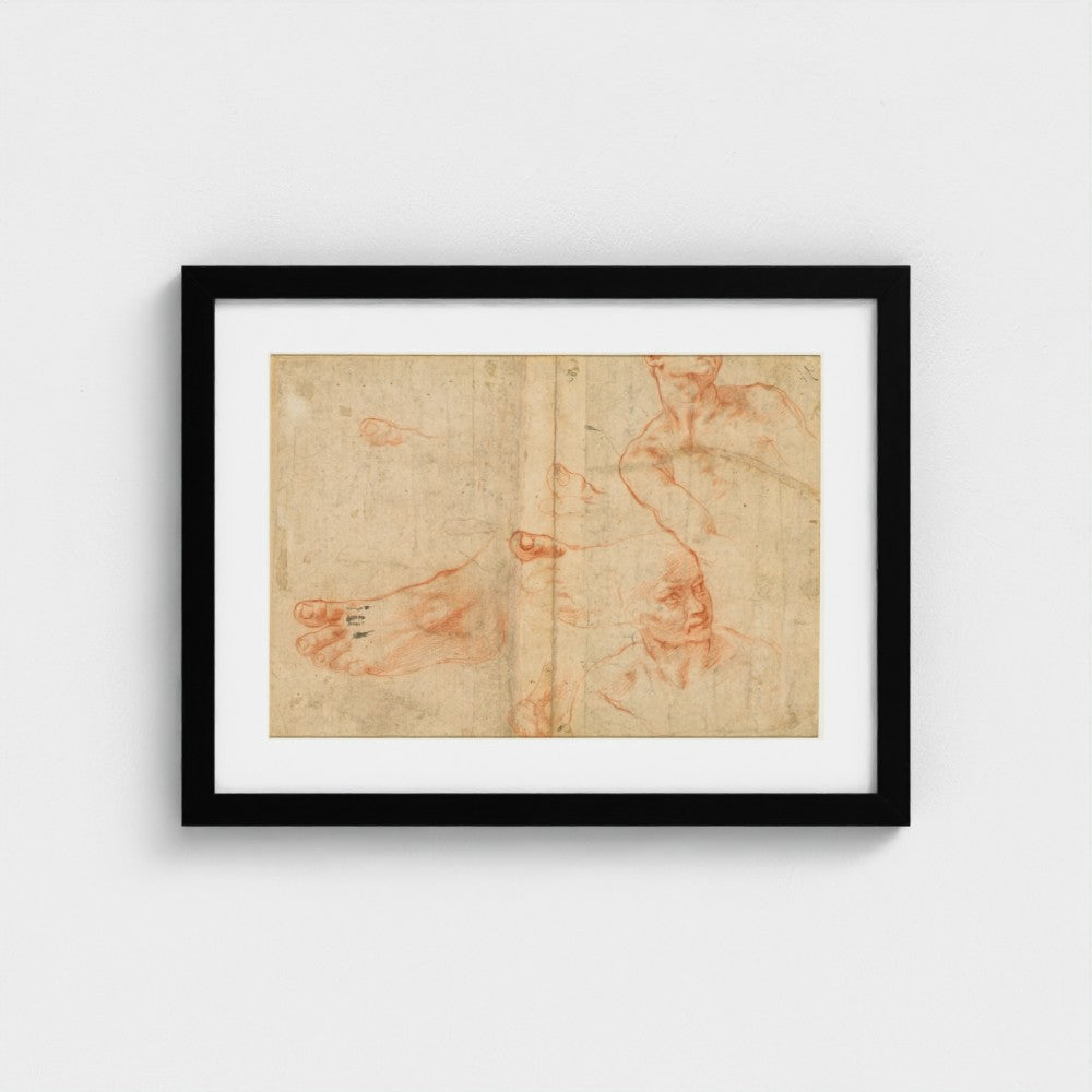 Figure Studies for the Sistine Ceiling (verso) — Black frame