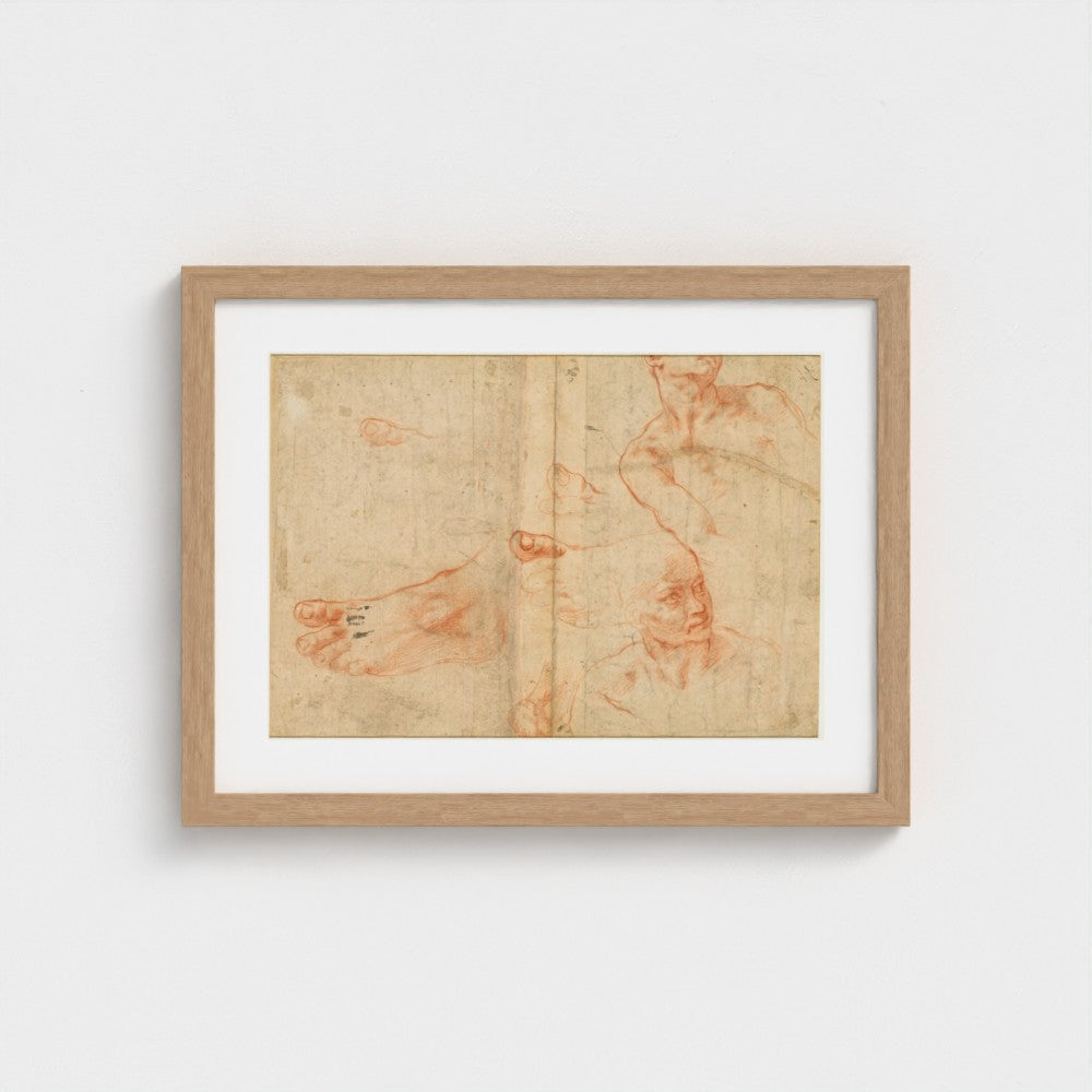 Figure Studies for the Sistine Ceiling (verso) — Natural frame