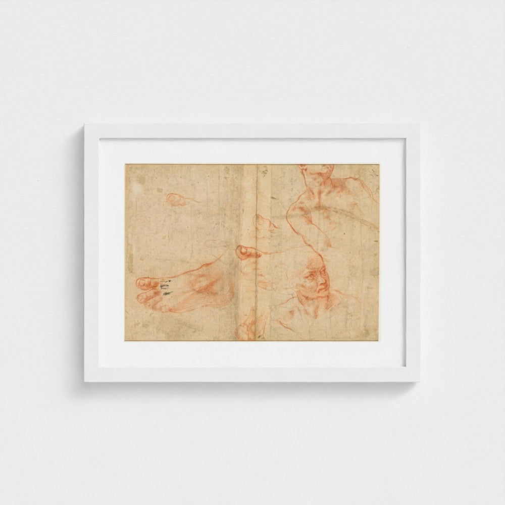 Figure Studies for the Sistine Ceiling (verso) — White frame