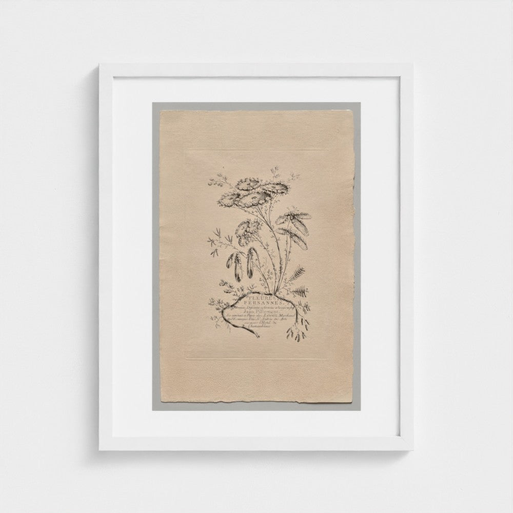 Persian Flowers (2022.250.1) — White frame