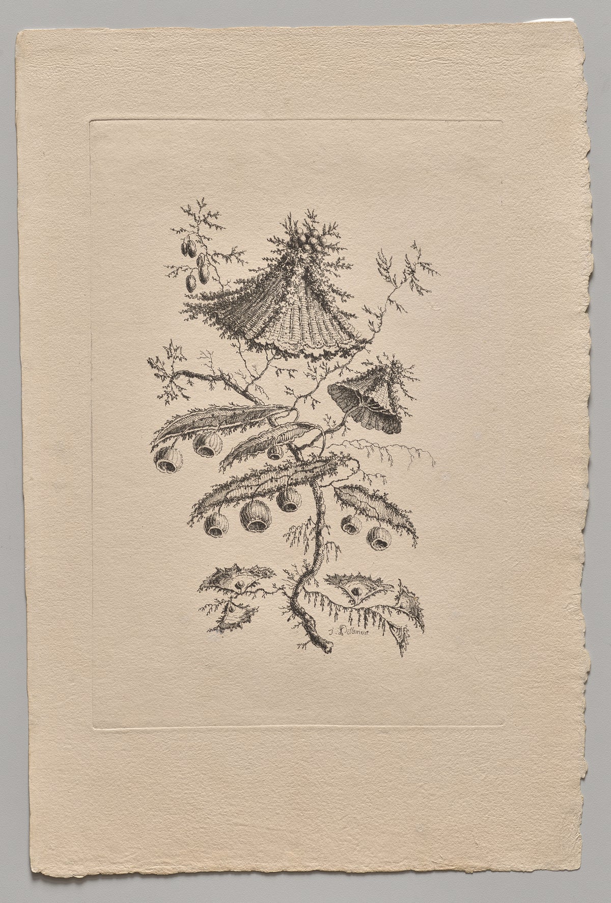 Persian Flowers (2022.250.2) by Jean Baptiste Pillement