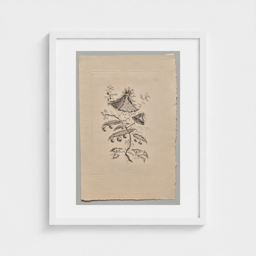 Persian Flowers (2022.250.2) — White frame