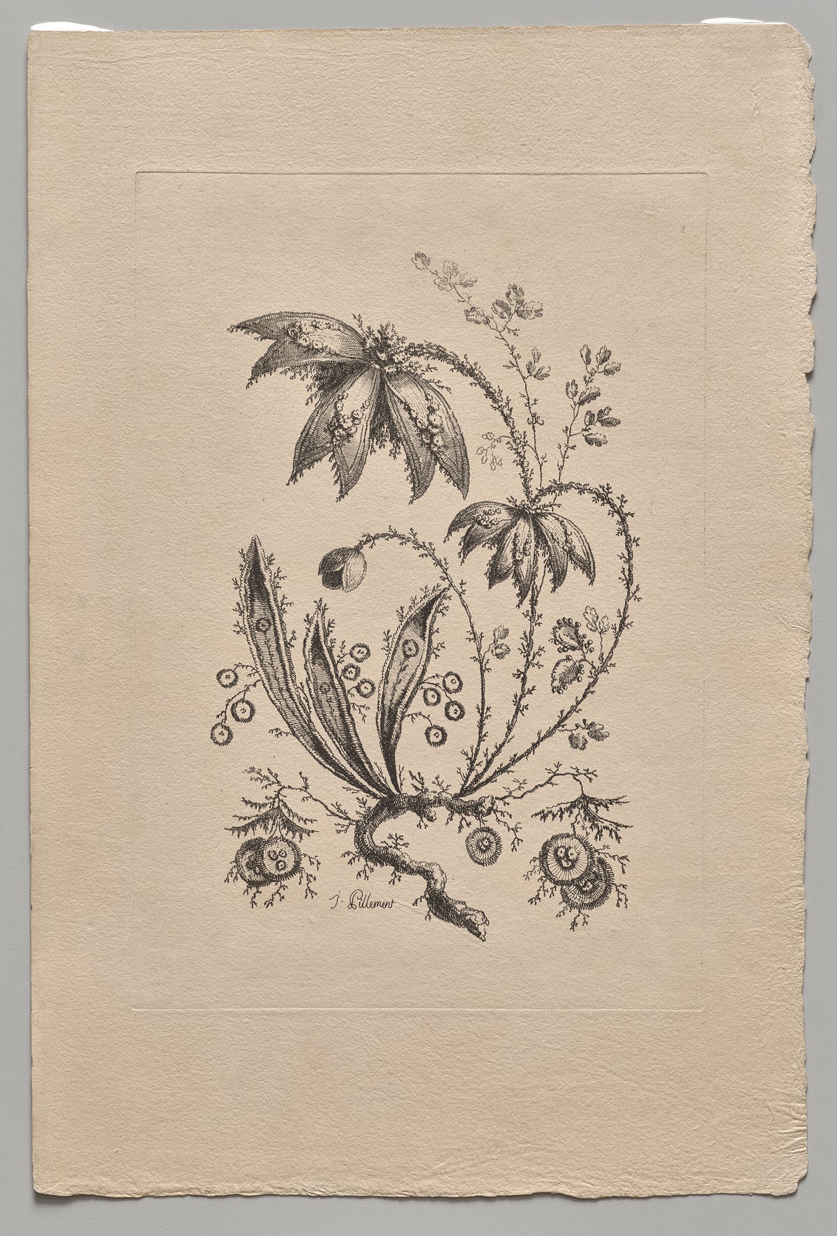 Persian Flowers (2022.250.3) by Jean Baptiste Pillement