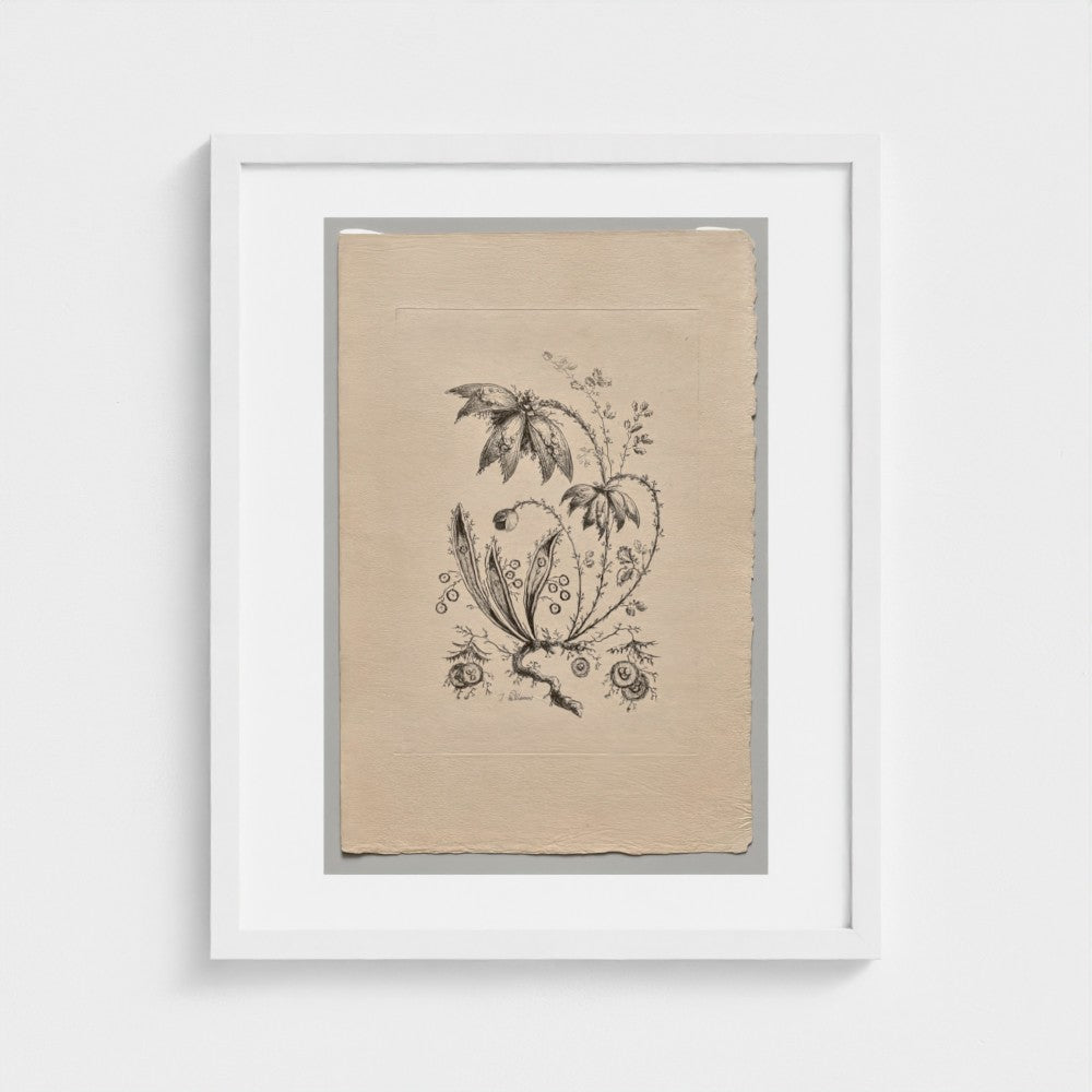 Persian Flowers (2022.250.3) — White frame
