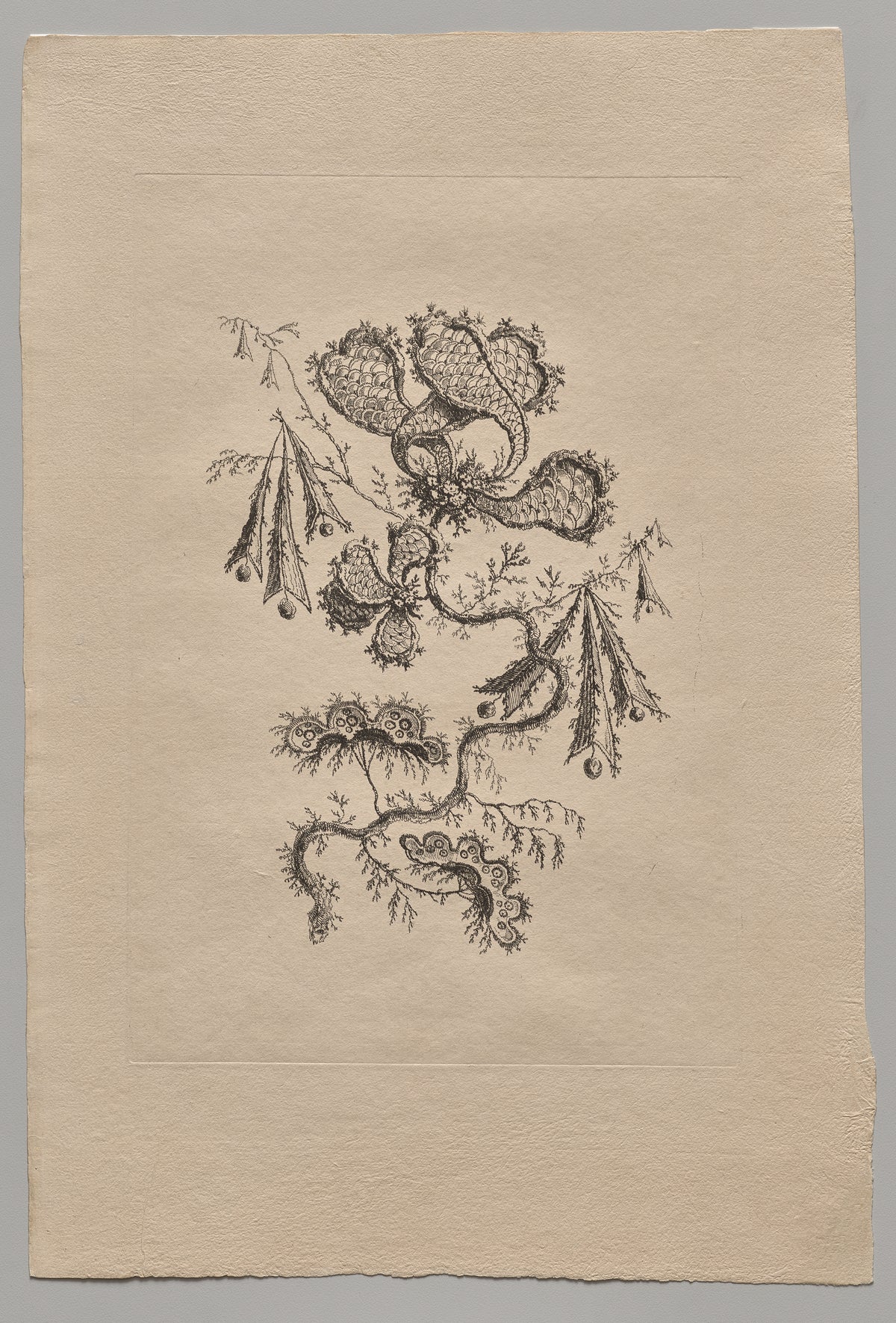 Persian Flowers (2022.250.6) by Jean Baptiste Pillement