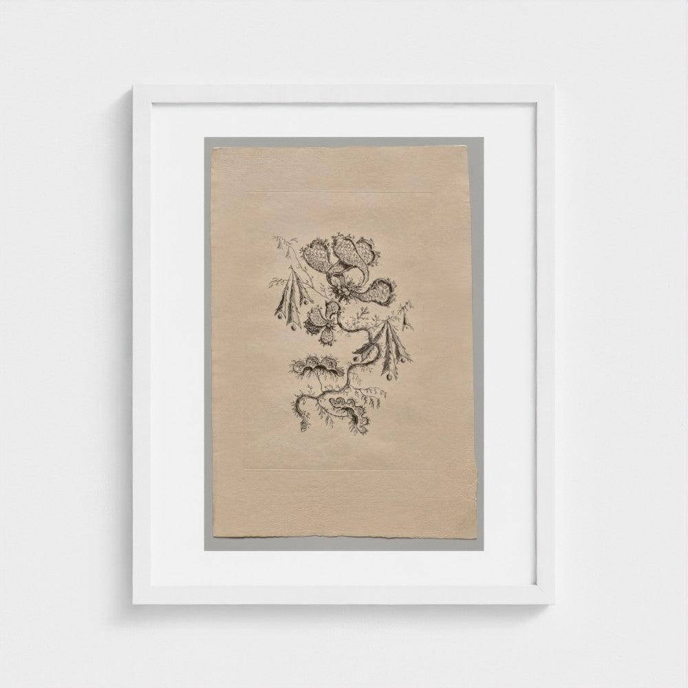 Persian Flowers (2022.250.6) — White frame