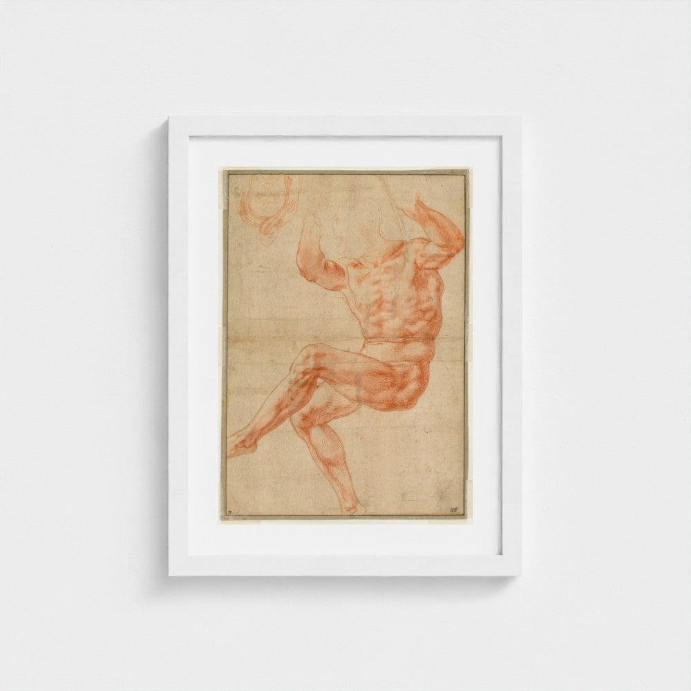 Study for the Nude Youth over the Prophet Daniel (recto) — White frame